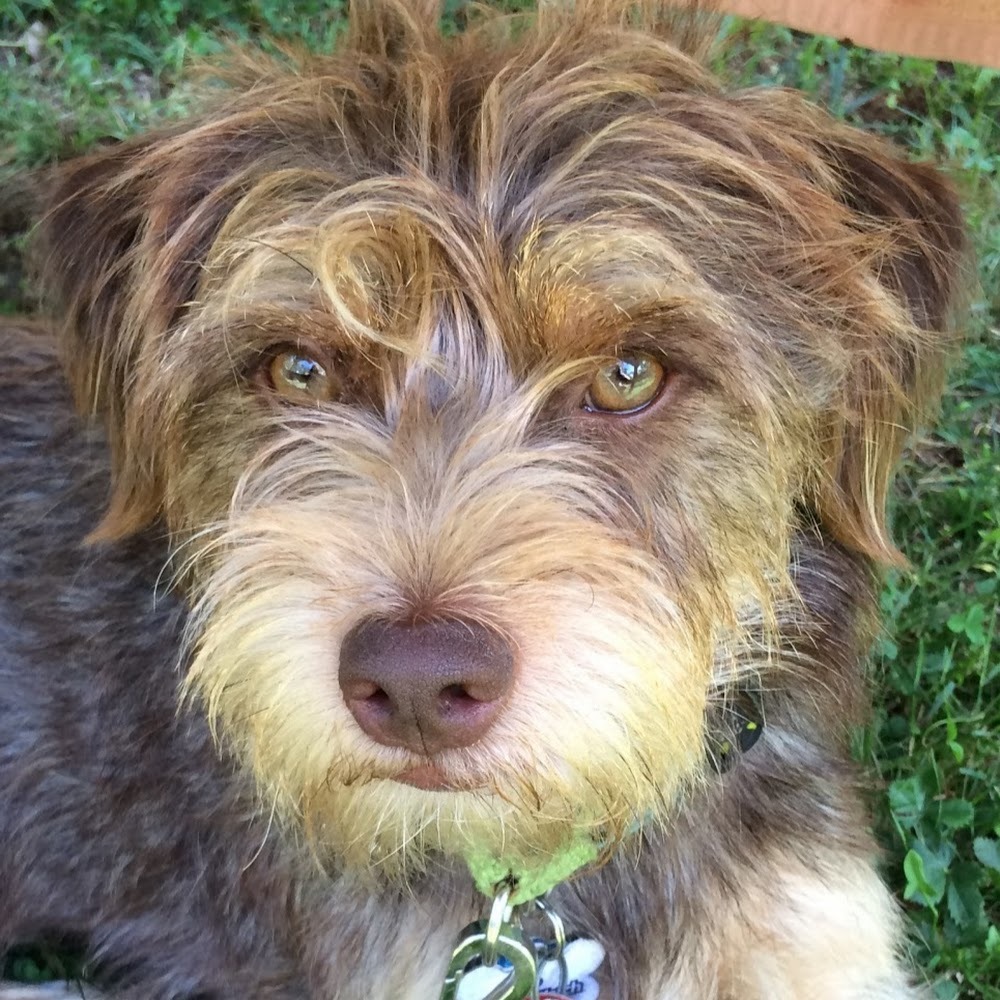 Meet your Posher, Debra